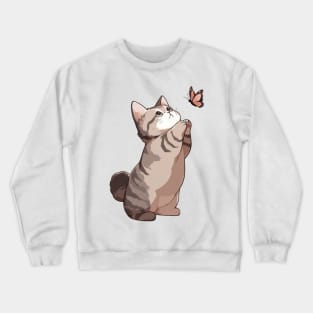 Cute Exotic Shorthair Cat Crewneck Sweatshirt